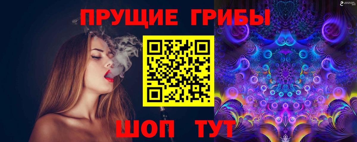 Менделеевск  купить   Вход с VPN  Галлюциногенные грибы Psilocybe  Псилоцибиновые грибы прущие грибы 