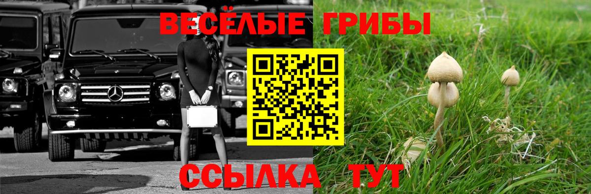 Псилоцибиновые грибы Cubensis Менделеевск